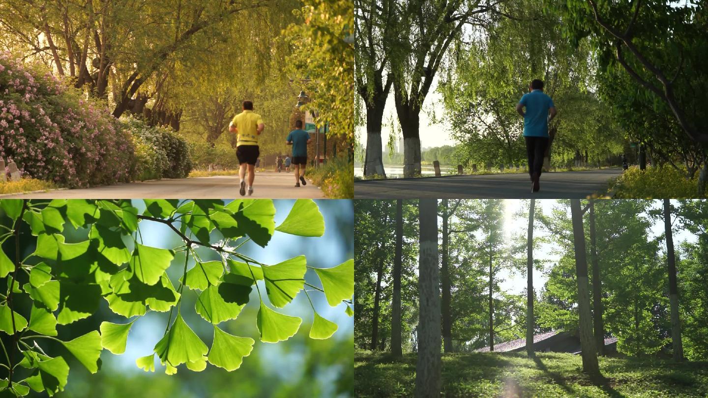 河边公园跑步早晨晨练锻炼绿色家园森林公园