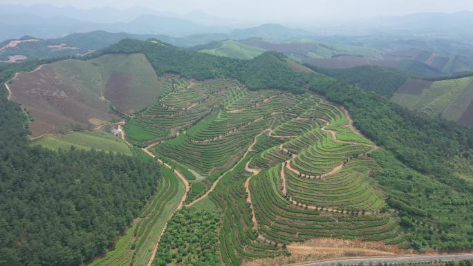 航拍浙江湖州梯田