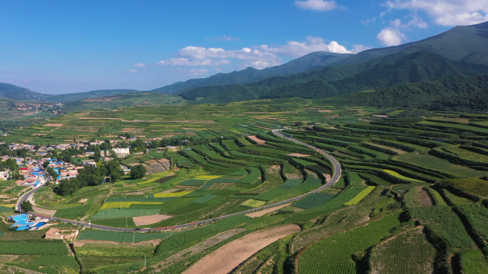 2K西北甘肃梯田航拍高原夏菜乡村振兴