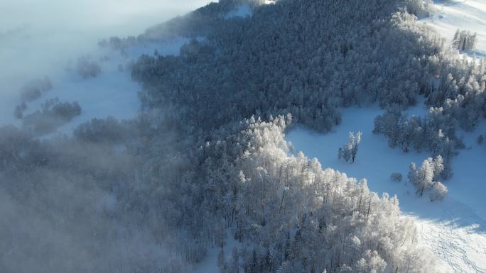 新疆阿勒泰禾木雪景云海