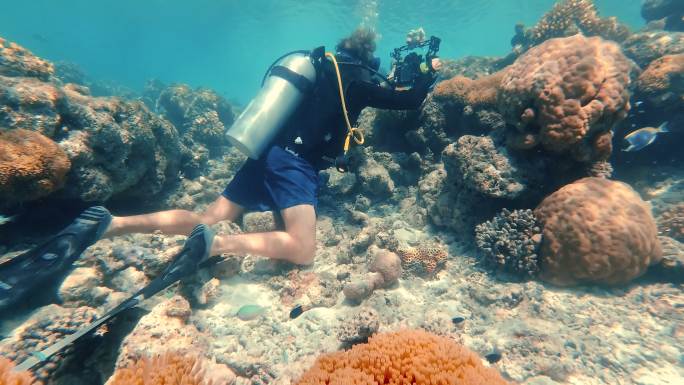 水肺潜水员在水下拍摄海洋生物