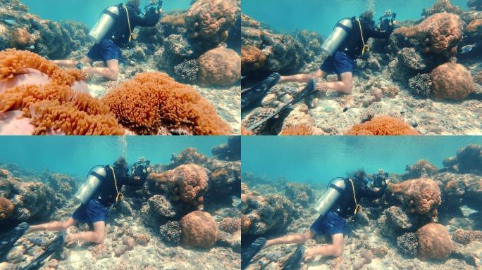 水肺潜水员在水下拍摄海洋生物