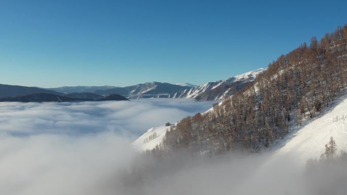 新疆阿勒泰禾木冬季雪景云海