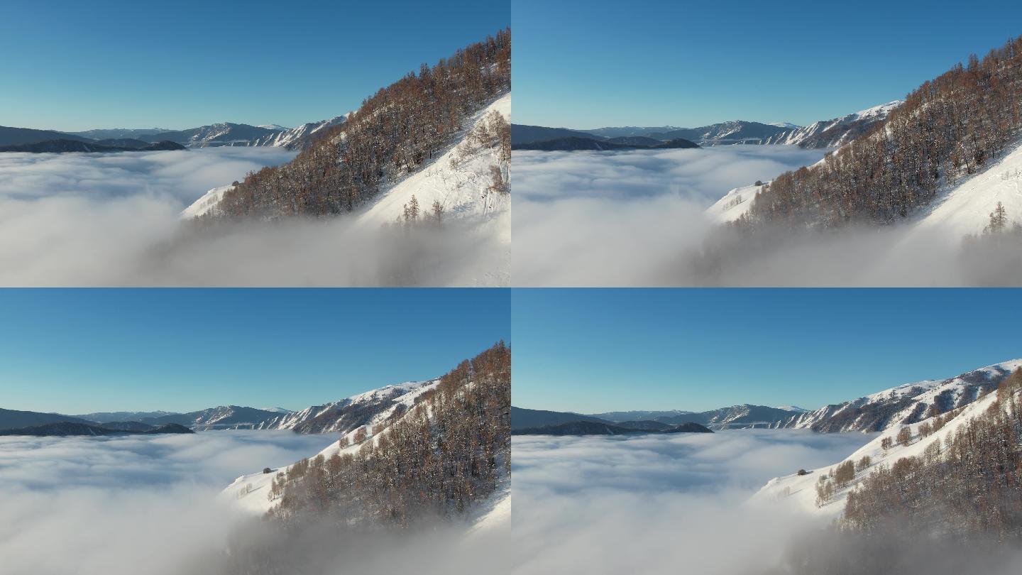新疆阿勒泰禾木冬季雪景云海