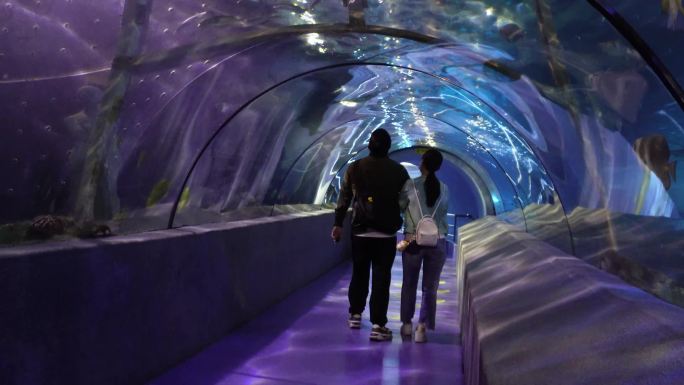 景点海洋馆的海底隧道 (1)