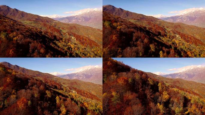 秋天飞过林地山区林场