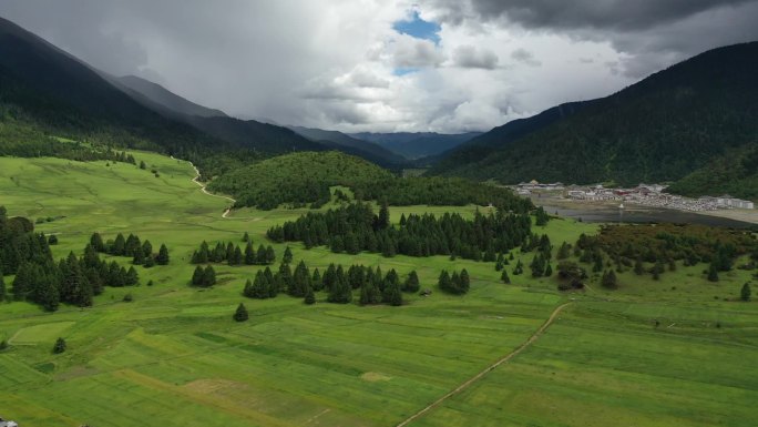 原创 航拍西藏林芝波密县鲁朗林海自然风光