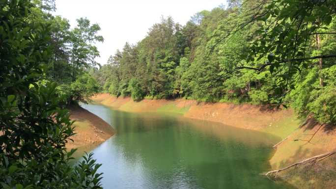 绿水  湖泊  生态   山水  多样性