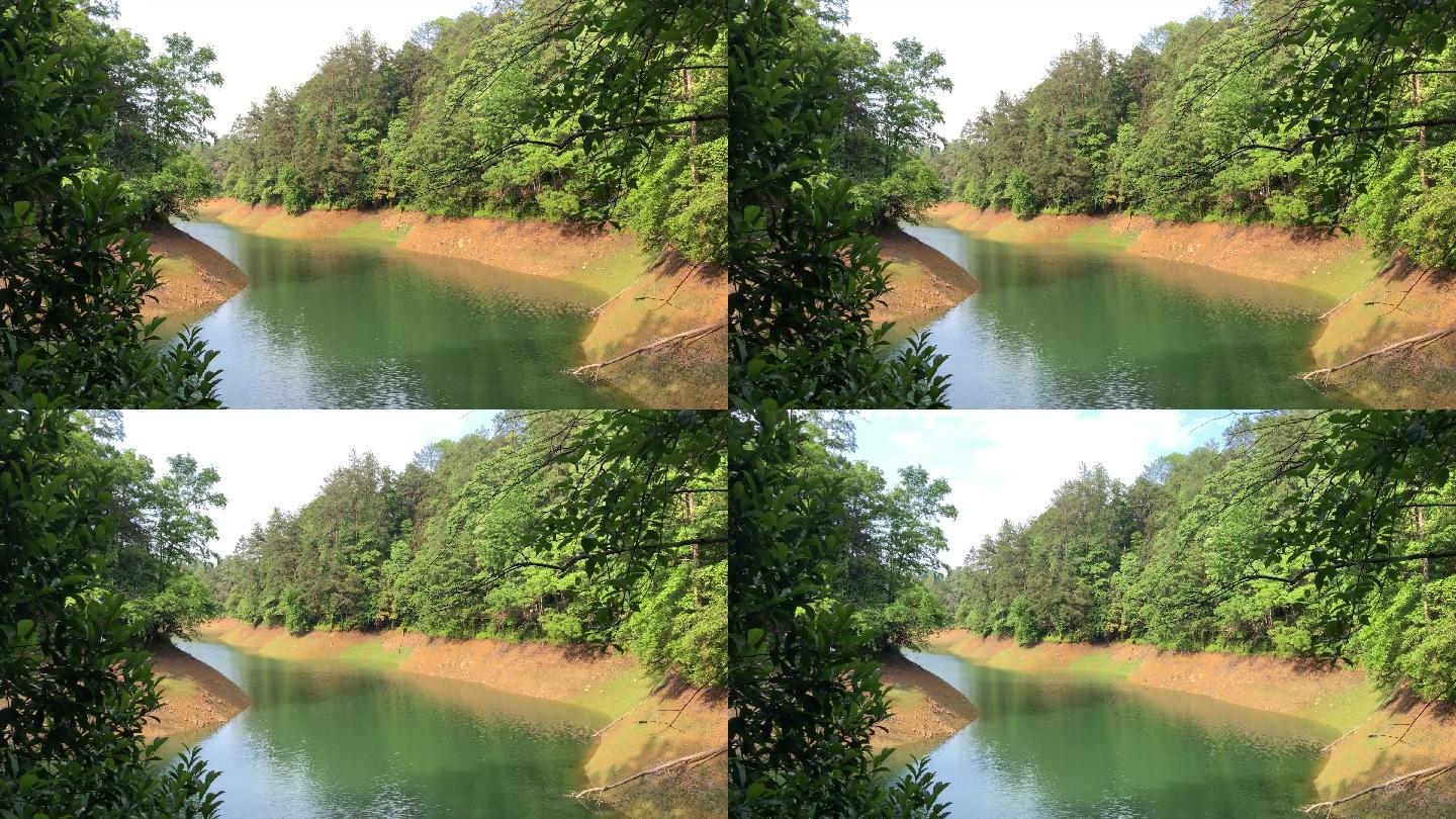 绿水  湖泊  生态   山水  多样性