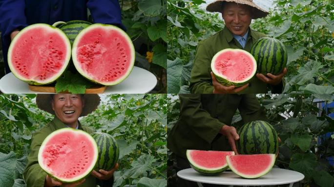 西瓜种植基地