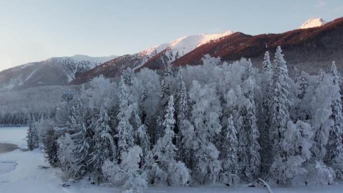 阿勒泰喀纳斯雪景