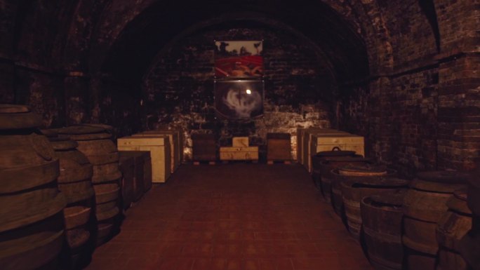 【4K原创】意大利城堡地窖葡萄酒窖7