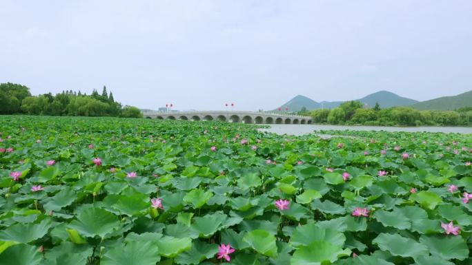 徐州云龙湖彭祖园风景4k航拍超清素材