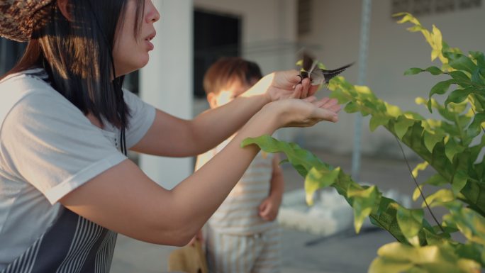 可持续生活方式：园艺