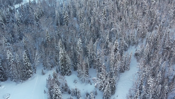 新疆阿勒泰禾木雪景