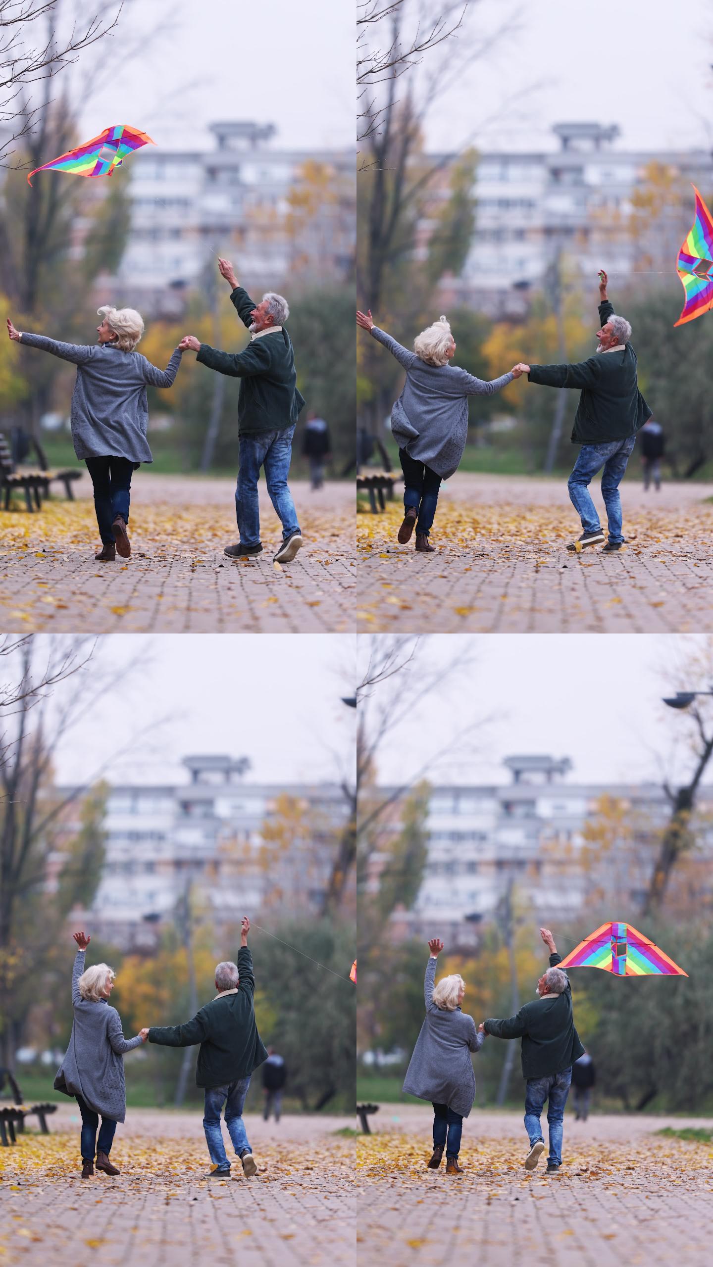 欢快的老年夫妇在公园里玩风筝的垂直视频。
