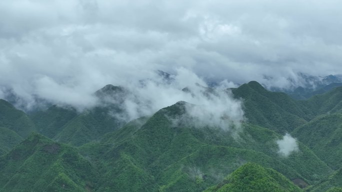 航拍江南浙江山区山脉生态森林绿色云雾云海
