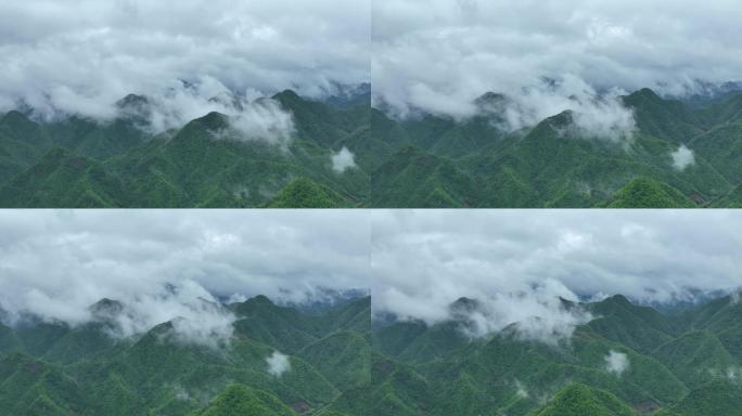 航拍江南浙江山区山脉生态森林绿色云雾云海