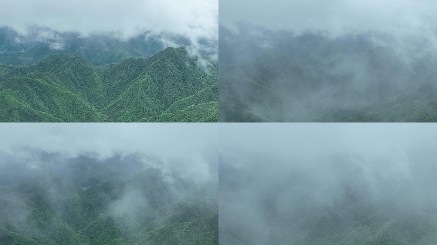 航拍浙江青山云雾早晨自然生态森林龙门山脉