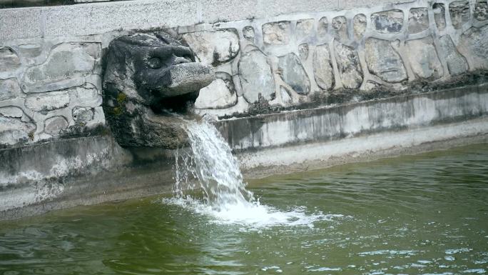 升格实拍北京大觉寺许愿池内流动的水