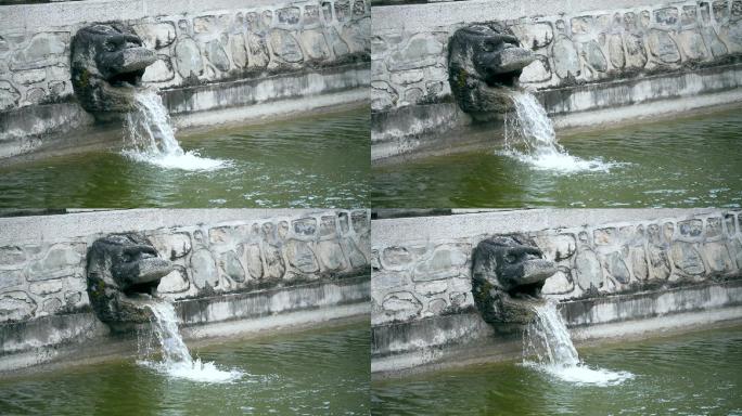 升格实拍北京大觉寺许愿池内流动的水