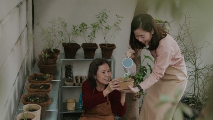 泰国华人家庭喜欢周末活动，在自家前院种植幼苗。