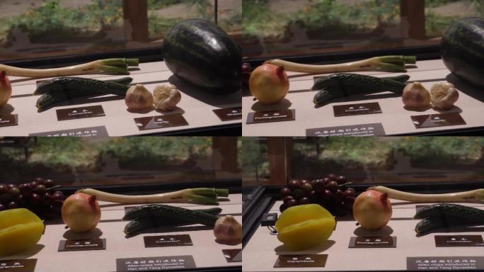 古代不同时期引入的蔬菜水果农作物 (3