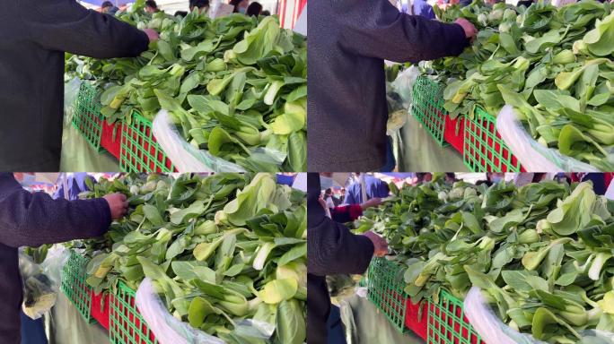 买菠菜买油菜买绿叶菜卖菜 (4)