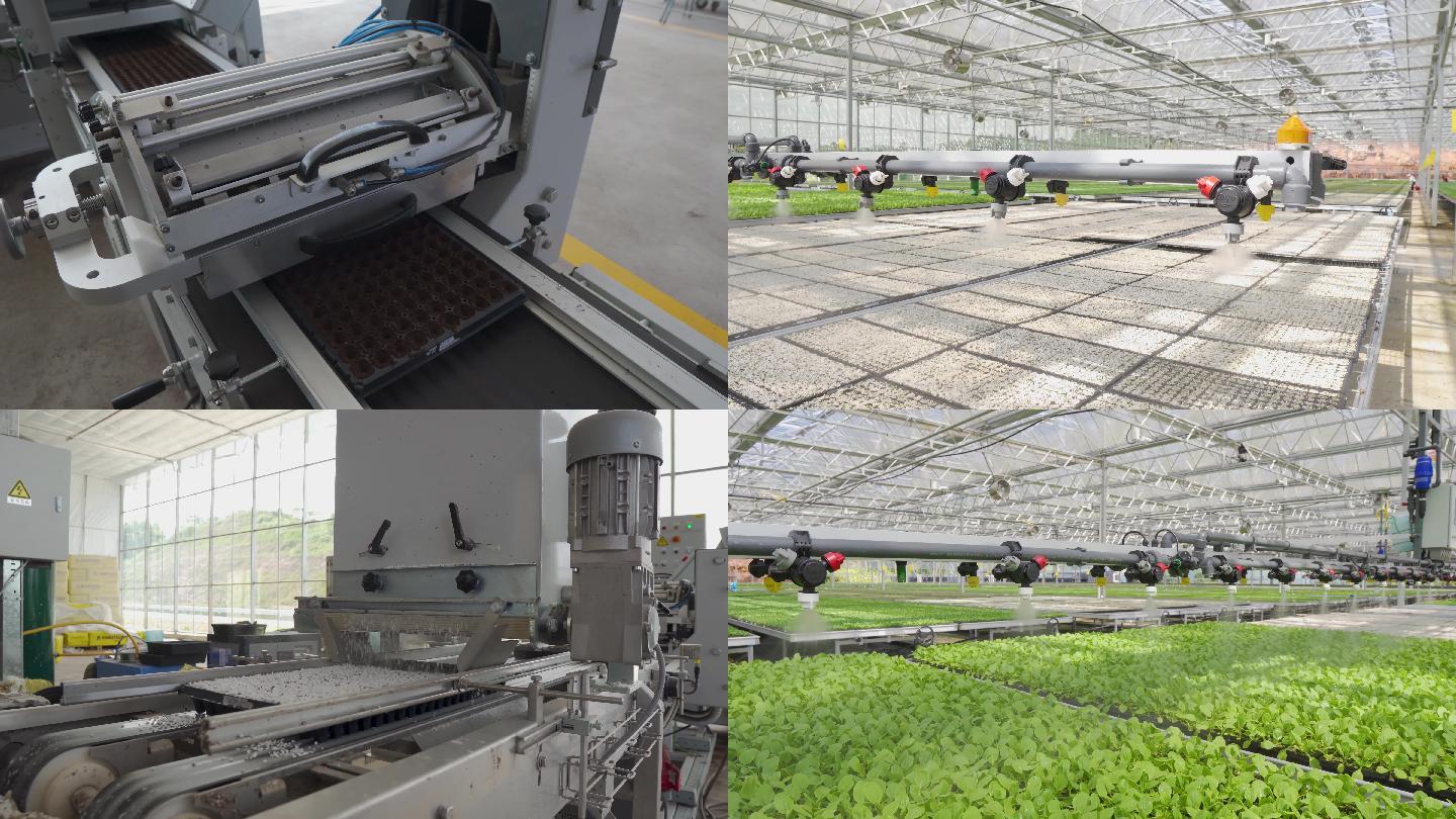农业温室智慧化大棚的育苗机器工作播种