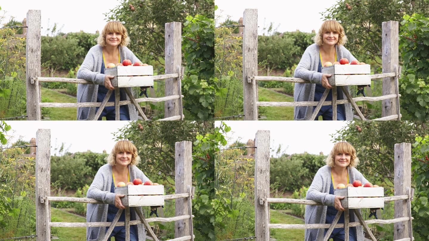 一个快乐的女人在花园里拿着一箱新鲜收获的苹果
