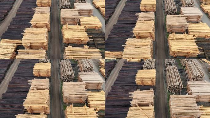木材加工木材市场木材原材料木材厂