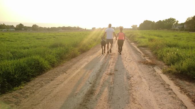 在黄金时段4K系列视频中，一对活泼健康的夫妇在美国乡村遛狗