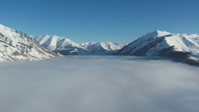 阿勒泰禾木冬季雪景云海