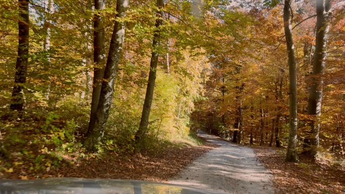 在秋天一个阳光明媚的日子里，一辆汽车在砾石森林路上行驶