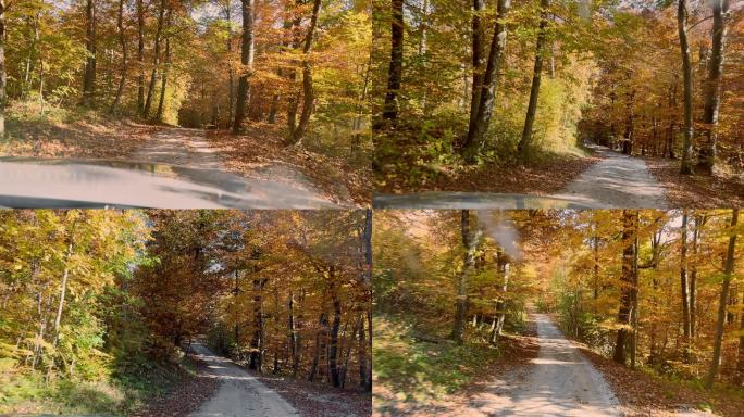 在秋天一个阳光明媚的日子里，一辆汽车在砾石森林路上行驶