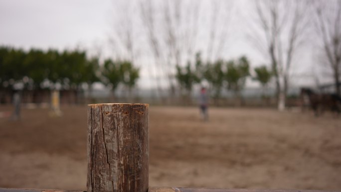 驯马师在农场训练她的马