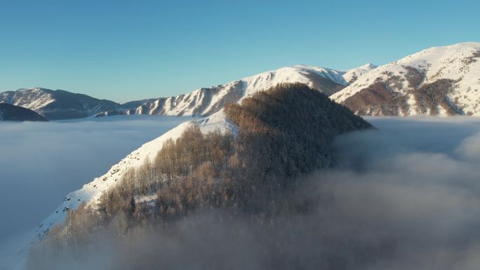 新疆阿勒泰禾木雪景云海