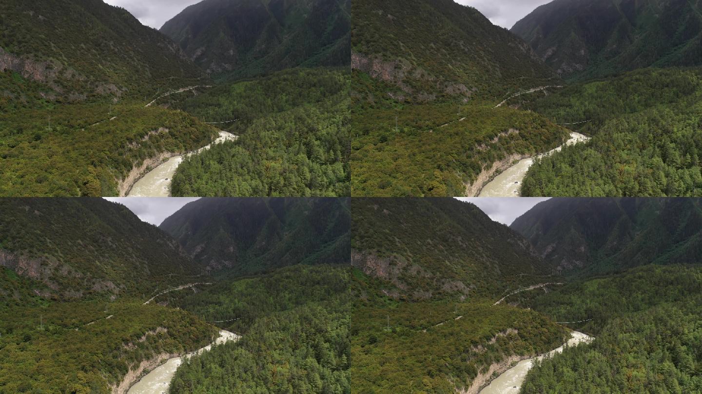 原创西藏川藏线G318林芝帕隆藏布森林