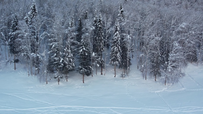 阿勒泰禾木冬天雪景