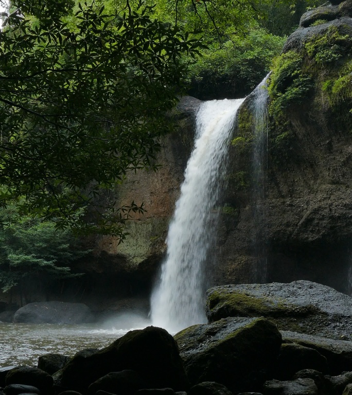 热带雨林中的瀑布山泉水绿水青山竖屏