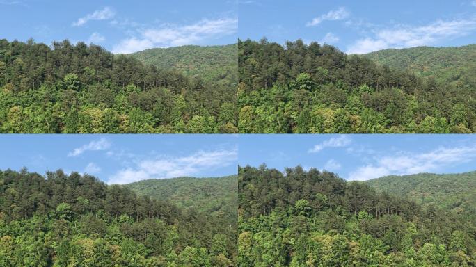 生态 青山  苍翠  蓝天  阳明湖