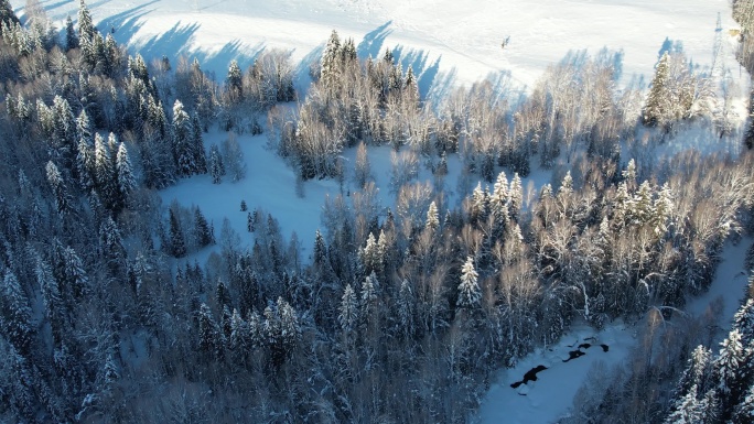 新疆阿勒泰禾木雪景