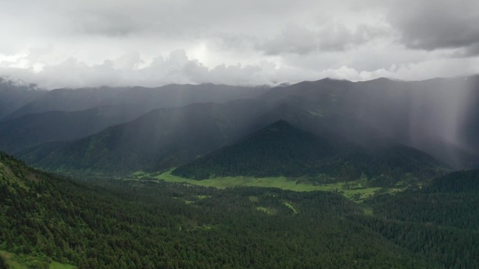 原创 航拍西藏林芝波密县鲁朗林海自然风光