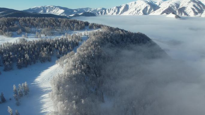 阿勒泰禾木雪景云海