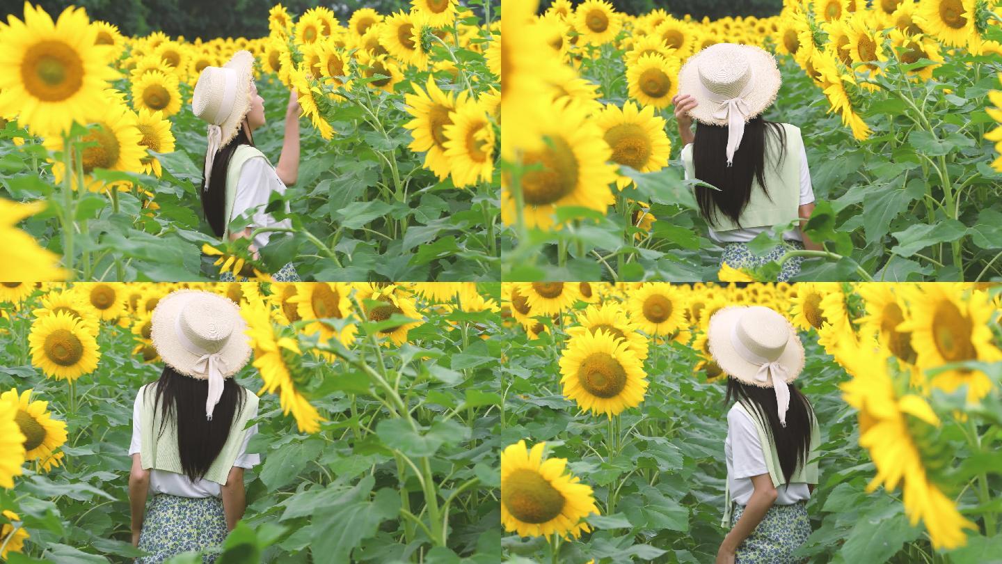 4K向日葵花海里的少女