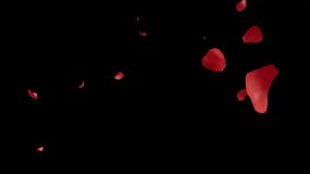 【4K】三维真实玫瑰花瓣飘落视频素材