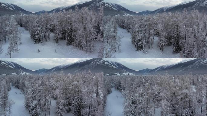 阿勒泰喀纳斯雪景