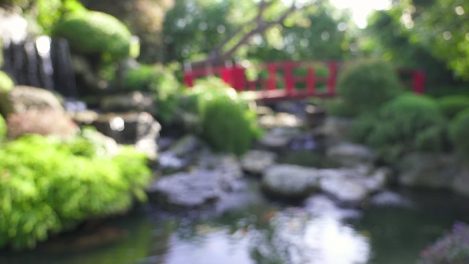 日本花园里的瀑布、小池塘和红桥。