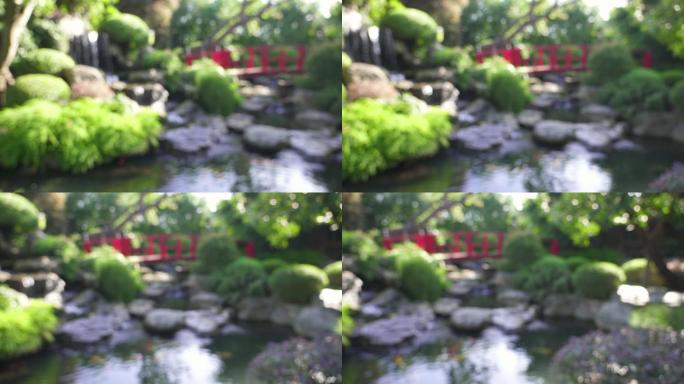 日本花园里的瀑布、小池塘和红桥。