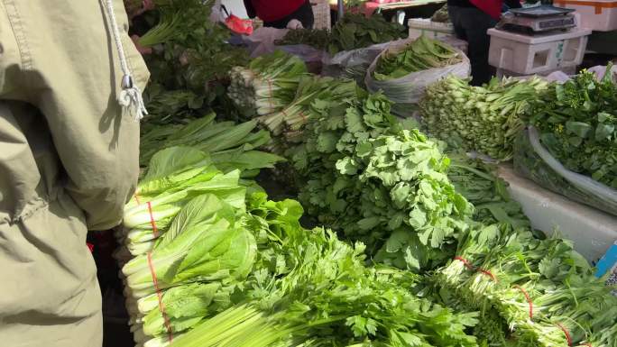 买菜绿叶菜蔬菜菜市场百姓生活赶大集